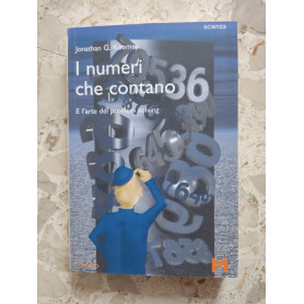 I numeri che contano. E l'arte del problem solving