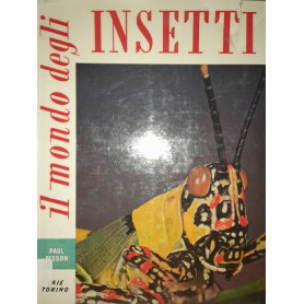Il mondo degli insetti
