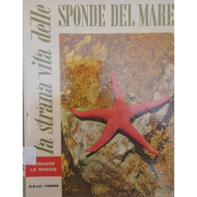 La strana vita delle sponde del mare
