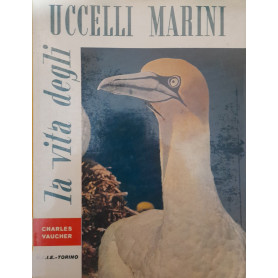 La vita degli uccelli marini