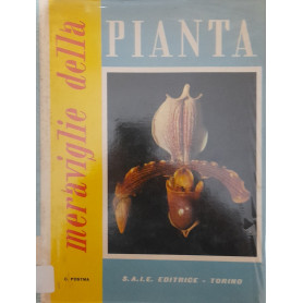 Meraviglie della pianta