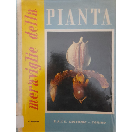 Meraviglie della pianta