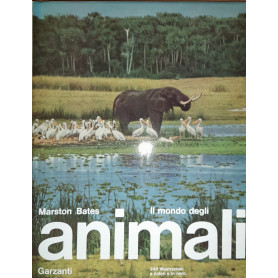 Il mondo degli animali