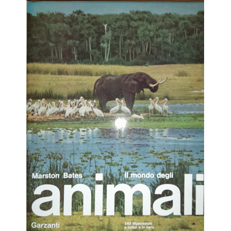 Il mondo degli animali