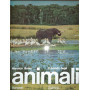 Il mondo degli animali