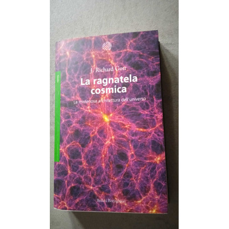 La ragnatela cosmica  la misteriosa architettura dell'universo