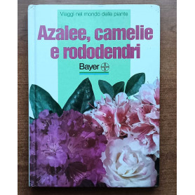 Azalee camelie e rododendri