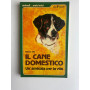 Il cane domestico. Un'amicizia per la vita