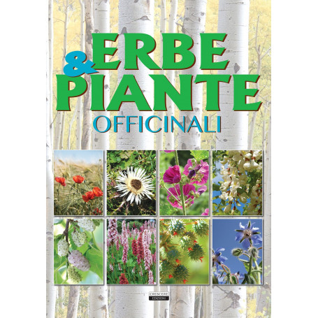 Erbe & piante officinali
