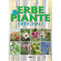 Erbe & piante officinali