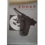 Luger storia - meccanica - modelli