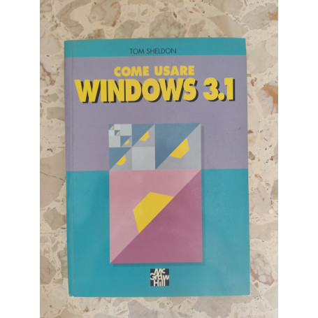 Come usare Windows 3.1