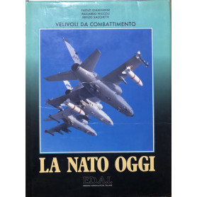 Velivoli da combattimento. La Nato oggi.