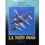 Velivoli da combattimento. La Nato oggi.