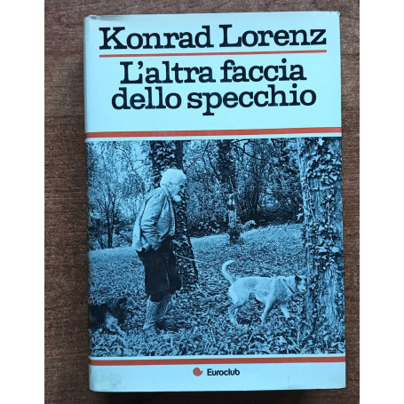 L'altra faccia dello specchio