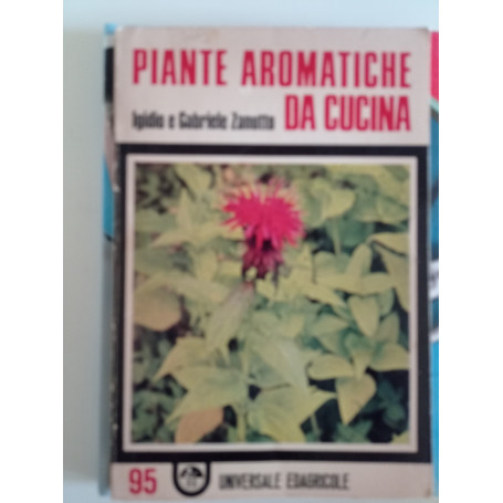 Piante aromatiche da cucina