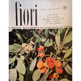 Fiori e piante in giardino in terrazza in casa n. 1