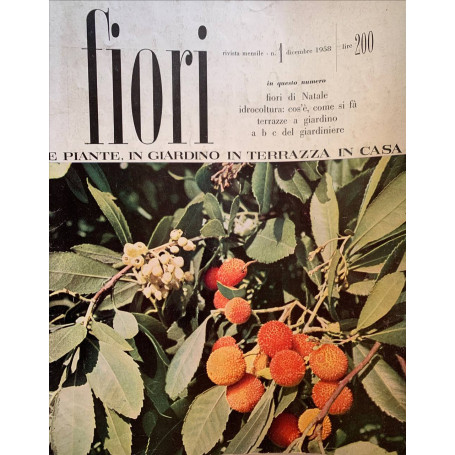 Fiori e piante in giardino in terrazza in casa n. 1