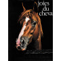 Joies du cheval
