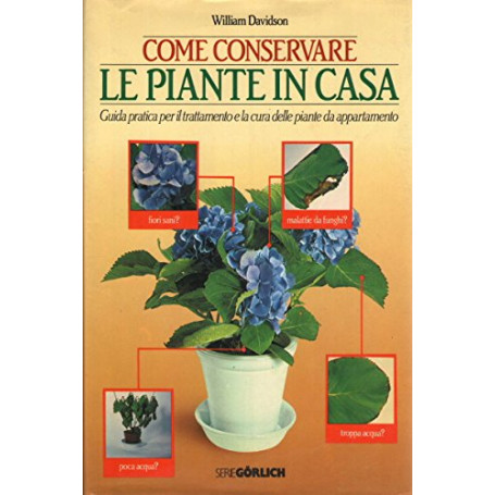 Come conservare le piante in casa