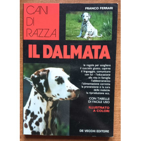 Il dalmata