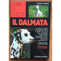 Il dalmata