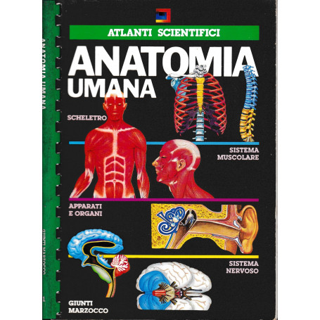 Anatomia Umana