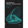 Examples in Modern Mathematics