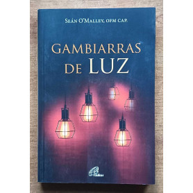 Gambiarras de Luz (Portuguese Edition)