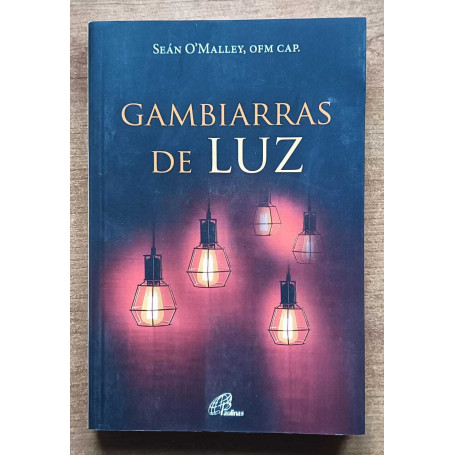 Gambiarras de Luz (Portuguese Edition)