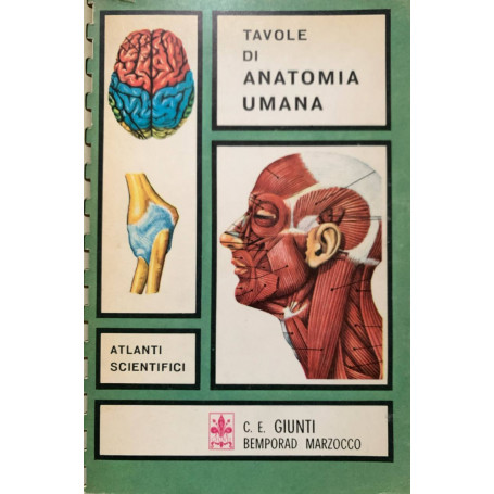 Tavole di anatomia umana