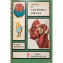 Tavole di anatomia umana