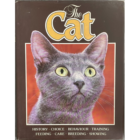 The cat