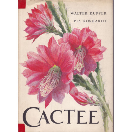 Cactee.