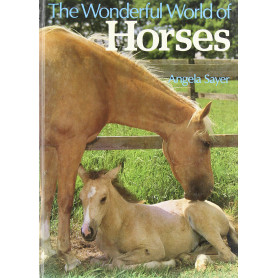 Wonderful World of Horses