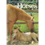 Wonderful World of Horses