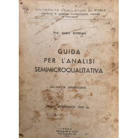 Guida per l'analisi semmicroqualitativa