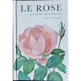 Le rose
