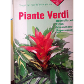 Piante verdi