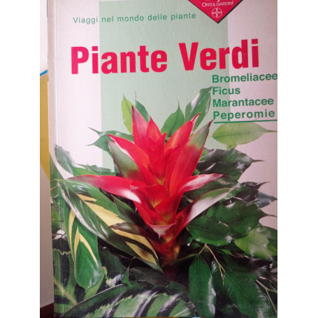 Piante verdi