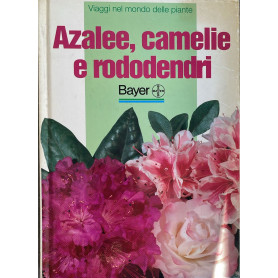 Azalee camelie e rododendri
