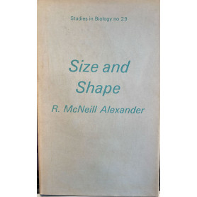 Size and Shape