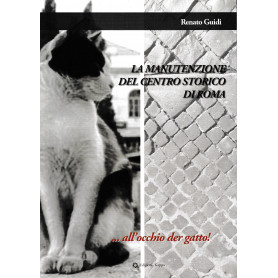 La manutenzione del centro storico di Roma..all'occhio der gatto!
