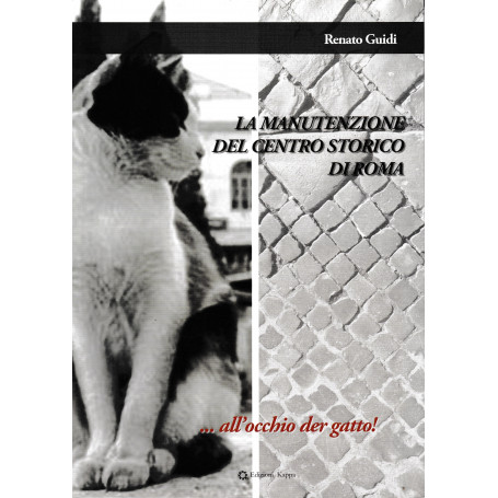 La manutenzione del centro storico di Roma..all'occhio der gatto!