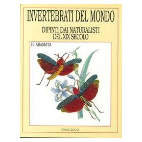 Invertebrati del Mondo. Dipinti dai Naturalisti del XIX Secolo.