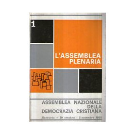 L'assemblea plenaria