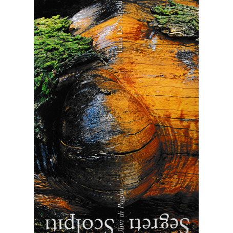 Segreti Scolpiti. Ulivi Di Puglia