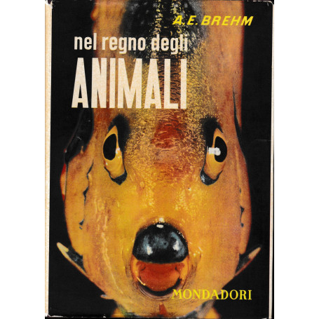 Nel regno degli animali.