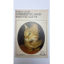 Know Your Domestic and Exotic Cats