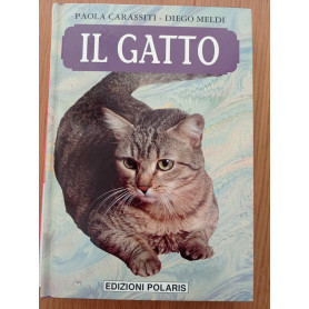 Il gatto